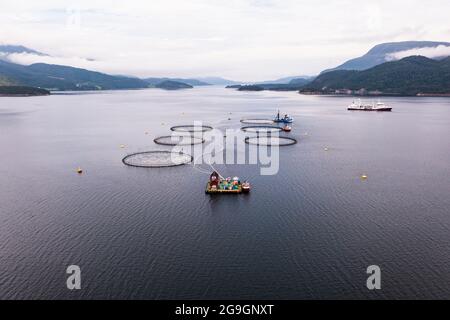 Lachs-Aquakultur Stockfoto