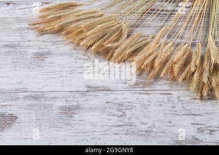 Spikeletts aus Weizengetreide und Platz zum Kopieren auf dem weißen Schreibtisch aus Holz. Stockfoto