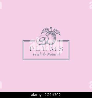Pflaume mit abstraktem Slice-Vektorzeichen, Symbol- oder Logo-Vorlage. Handgezeichnete Fruits Sillhouette Sketch mit eleganter Retro-Typografie und Rahmen. Vintage Stock Vektor
