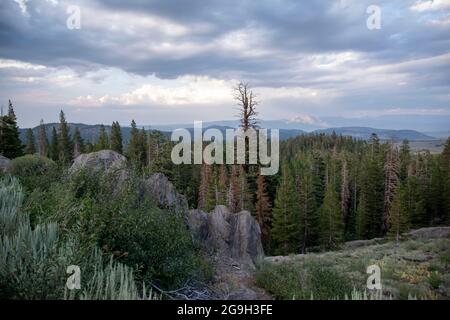 Mammoth City war eine alte Bergbaustadt am Stadtrand von Mammoth Lakes in Mono County, CA, USA. Stockfoto