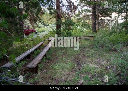 Mammoth City war eine alte Bergbaustadt am Stadtrand von Mammoth Lakes in Mono County, CA, USA. Stockfoto