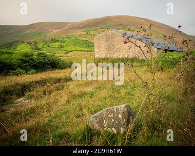 Langden Valley, Forest of Bowland, Lancashire UK, Wetter Nachrichten. 26. Juli 2021.das Wetter ist heute etwas kühler und hat ein frischeres Gefühl. Für den Nordwesten Englands sind für die kommenden Tage Duschen prognostiziert. Copyright Credit: gary telford/Alamy Live News Stockfoto