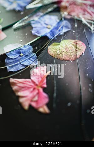 Blütenblätter unter zerbrochenem Glas Stockfoto