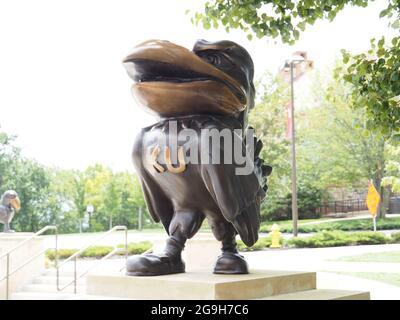 LAWRENCE, USA - 10. Jul 2021: Eine KU Jayhawks Statue am University of Kansas Natural History Museum in den USA Stockfoto