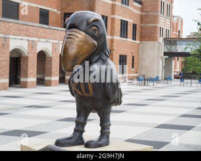 LAWRENCE, USA - 10. Jul 2021: Eine KU Jayhawks Statue am University of Kansas Natural History Museum in den USA Stockfoto