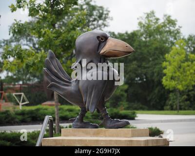 LAWRENCE, USA - 10. Jul 2021: Eine KU Jayhawks Statue am University of Kansas Natural History Museum in den USA Stockfoto