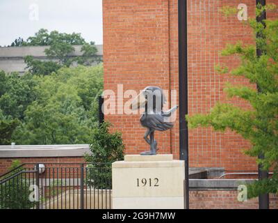 LAWRENCE, USA - 10. Jul 2021: Eine KU Jayhawks Statue am University of Kansas Natural History Museum in den USA Stockfoto