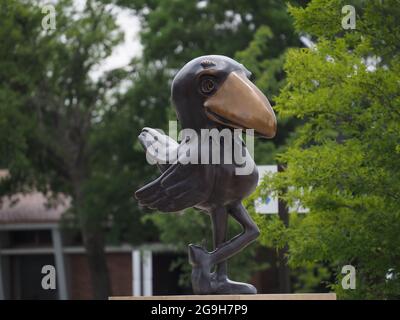 LAWRENCE, USA - 10. Jul 2021: Eine KU Jayhawks Statue am University of Kansas Natural History Museum in den USA Stockfoto