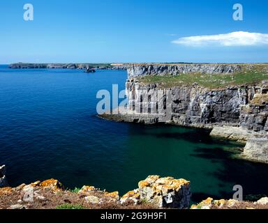 Blick nach Westen entlang der Castlemartin Cliffs von Stackpole Head, Pembrokeshire National Park, wales. Stockfoto