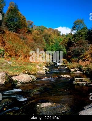 Wasserfall, River Caerfanell, Blaen Y Glyn, Brecon Beacons National Park, Powys, Wales. Stockfoto