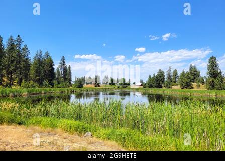 Landhäuser und Bauernhöfe rund um einen kleinen See auf dem Land in der Nähe der Stadt Medical Lake, Washington, in der Nähe von Spokane, Washington, USA Stockfoto