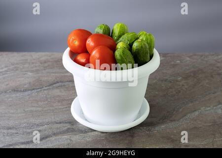 Frisch geerntete Tomaten und Gurken in einem neuen weißen Blumentopf. Home Farm Landwirtschaft Konzept Stockfoto