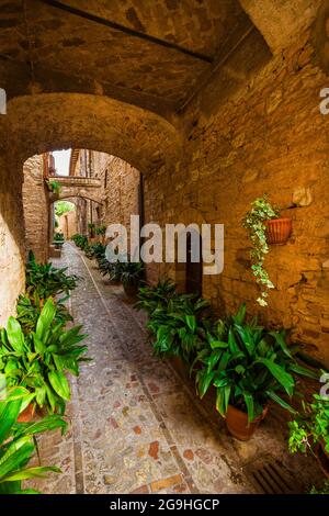 Spello charmante historische Zentrum Gasse in Umbrien Stockfoto