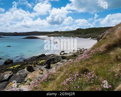 Little Bay, St. Martin's, Isles of Scilly, Cornwall, England, VEREINIGTES KÖNIGREICH. Stockfoto