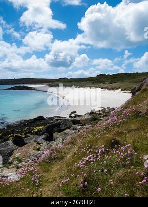 Little Bay, St. Martin's, Isles of Scilly, Cornwall, England, VEREINIGTES KÖNIGREICH. Stockfoto