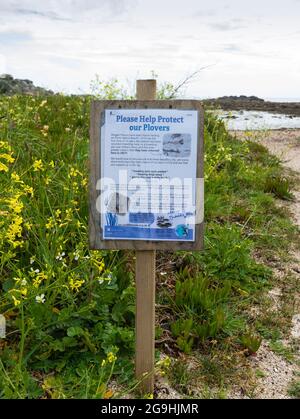 Tierschutzschild, Porth Hellick, St Mary's, Isles of Scilly, Cornwall, England, Großbritannien. Stockfoto