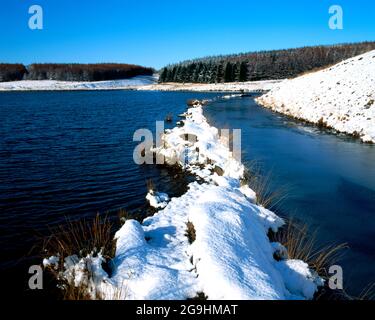 Lluest Wen Stausee, twyn Rhondda, Aberdare, Land, Park, Süden, Wales Stockfoto