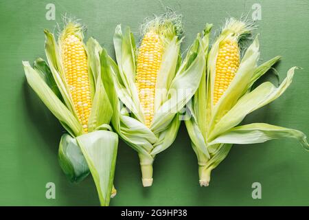 Frischer Mais auf dem Maiskolben mit grünen Blättern Stockfoto