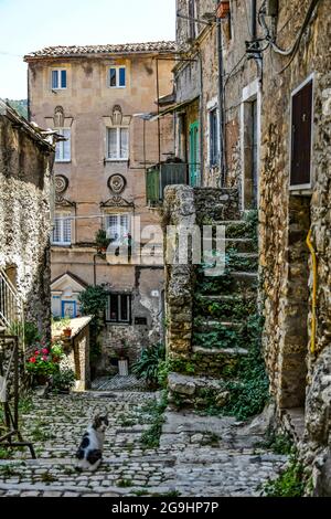 Die Italienische Republik, 24. Juli 2021. Eine schmale Straße im historischen Zentrum einer mittelalterlichen Stadt in der Region Latium. Stockfoto