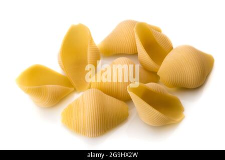 Italienische rohe trockene Pasta conchiglioni Bronze gezeichnet isoliert auf weißem Hintergrund. Hergestellt in Gragnano, Neapel, Italien Stockfoto