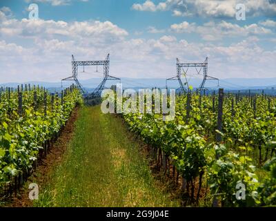 Hochspannungsleitungen, Departement Allier, Auvergne Rhone Alpes, Frankreich, Europa Stockfoto