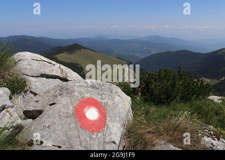 Rote Flamme auf Bergweg Stockfoto