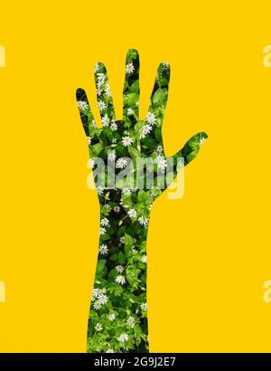 Artwork Illustration von Gartenblumen in menschlicher Hand Form Silhoette auf gelbem Hintergrund. Stockfoto