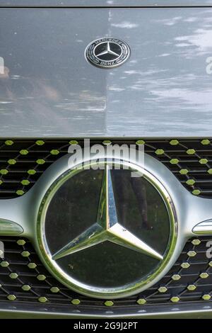 mercedes-Emblem und Motorhaube mit Kühlergrill Stockfotografie