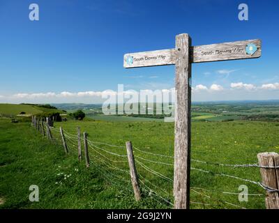 Der South Downs Way bei Firle Beacon in der Nähe von Lewes, Sussex. Stockfoto