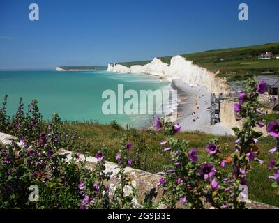 Die Seven Sisters Cliffs von der Vogelspülung aus gesehen, East Sussex. Stockfoto