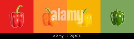 Farbenfrohe Paprika Banner. Rote, orange, gelbe und grüne Paprika auf einem bunten Hintergrund. Paprika-Poster. Lebensmittelkonzept. Stockfoto