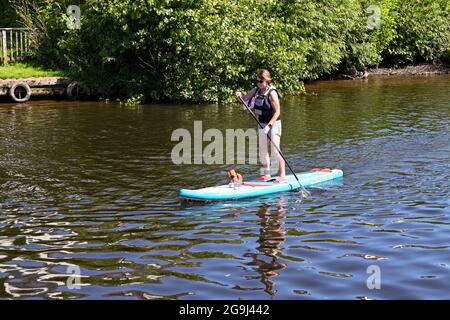 Chester, Cheshire, England - 2021. Juli: Person Paddle Boarding auf dem Fluss Dee, der durch Chester verläuft. Stockfoto