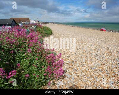 Der Strand von Pevensey Bay, Eastbourne, East Sussex. Stockfoto