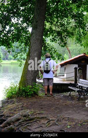 Mann, Mann, der den See bei den Bäumen anschaut, neben der Teichbank. Stockfoto