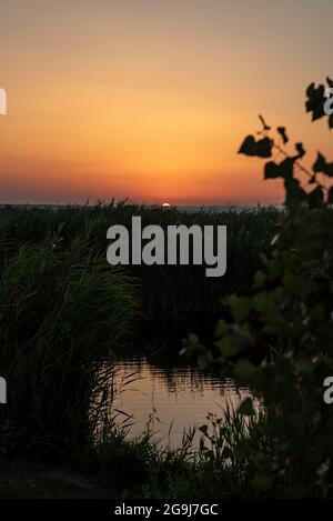 Abend- und Nachtstimmung im Nationalpark Neusiedler See. Stockfoto