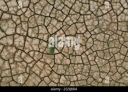 Hammelburg, Deutschland. Juli 2021. Pflanzen wachsen sporadisch auf gesprungenem Ackerboden (Luftaufnahme mit einer Drohne). Quelle: Karl-Josef Hildenbrand/dpa/Alamy Live News Stockfoto