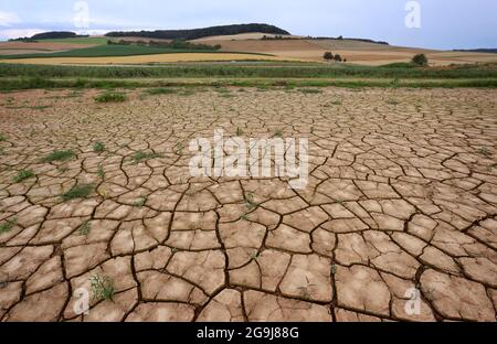 Hammelburg, Deutschland. Juli 2021. Pflanzen wachsen sporadisch auf gesprungenen Ackerböden. Quelle: Karl-Josef Hildenbrand/dpa/Alamy Live News Stockfoto