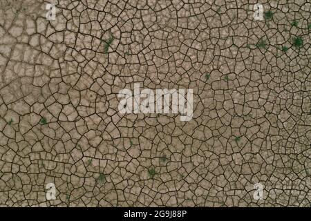 Hammelburg, Deutschland. Juli 2021. Pflanzen wachsen sporadisch auf gesprungenem Ackerboden (Luftaufnahme mit einer Drohne). Quelle: Karl-Josef Hildenbrand/dpa/Alamy Live News Stockfoto