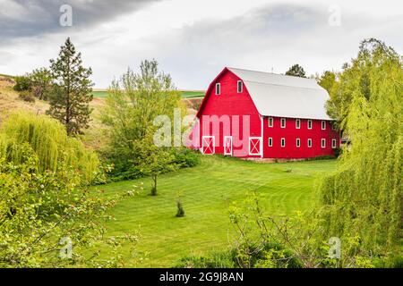 Colfax, Washington, USA. 22.Mai 2021. Eine rote Scheune auf einem Bauernhof in den Palouse Hügeln. Stockfoto