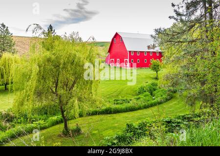 Colfax, Washington, USA. 22.Mai 2021. Eine rote Scheune auf einem Bauernhof in den Palouse Hügeln. Stockfoto