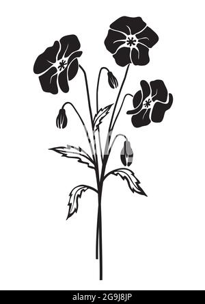 Poppy Blumen schwarze Silhouette. Stilisierte Illustration des melantmütigen Blumenmotivs. Isoliert auf weißem Hintergrund. Vektor verfügbar. Stock Vektor