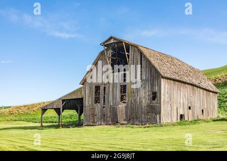 Pullman, Washington, USA. 22.Mai 2021. Eine grau verwitterte Scheune in den Palouse Hügeln. Stockfoto