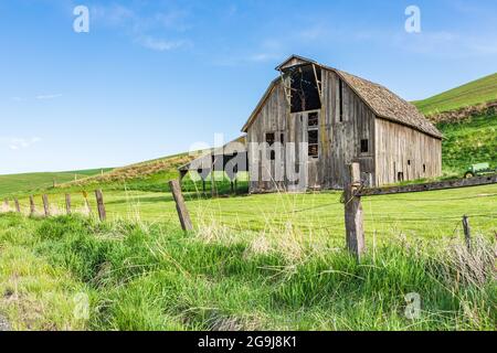 Pullman, Washington, USA. 22.Mai 2021. Eine grau verwitterte Scheune in den Palouse Hügeln. Stockfoto