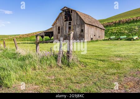 Pullman, Washington, USA. 22.Mai 2021. Eine grau verwitterte Scheune in den Palouse Hügeln. Stockfoto