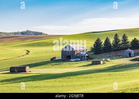 Pullman, Washington, USA. 22.Mai 2021. Eine alte Scheune auf einem malerischen Bauernhof in den Palouse Hügeln. Stockfoto