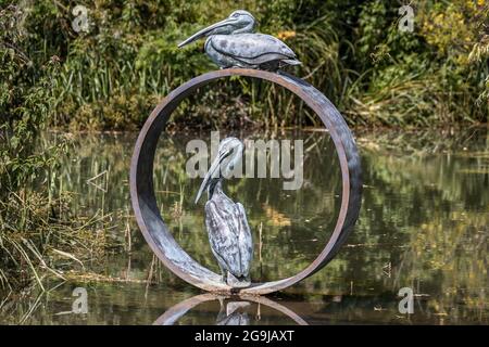 Pelikane von Simon gudgeon, Skulptur von den Seen, Pallington, Dorchester, Dorset Stockfoto