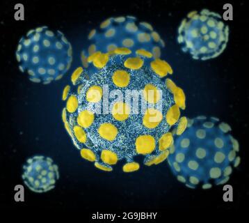 ?oronavirus COVID-19 3D Visualisierung, Virus SARS-CoV-2 Konzept Stockfoto