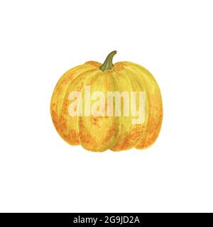 Kürbis handgezeichnet Aquarell Illustration orange Gemüse für saisonale Herbstferien Feier Design, gesunde vegetarische Ernährung, Danksagekunst, halloween Clip Art Stockfoto