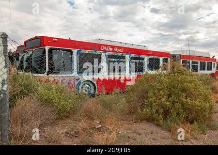 Polvadera, New Mexico - Old Albuquerque City Gelenkbusse in Amador Complete Recycling, einem Fahrzeugschrottplatz in der Wüste von New Mexico. Stockfoto