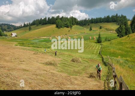 GARDA DE SUS, RUMÄNIEN - 04. AUGUST 2015: Ländliche Landschaft mit Bauern arbeiten auf dem Feld im Apuseni-Gebirge Stockfoto